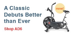 Schwinn&reg; Airdyne&reg; AD6
