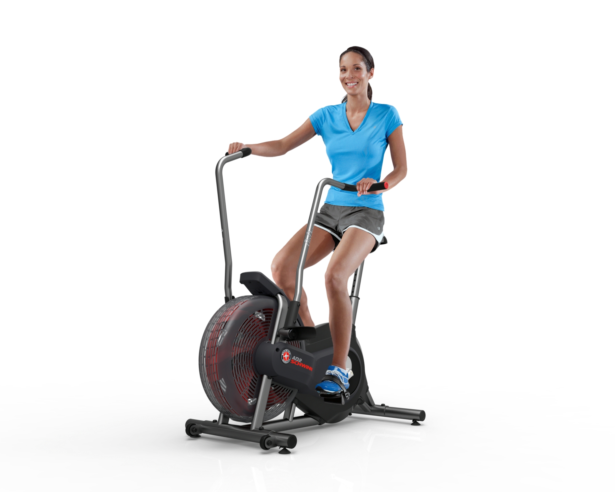 schwinn airdyne biodyne