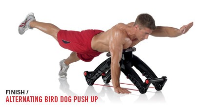 UpperCut-BirdPushup-Finish